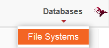 Figure 1: Switch to file systems