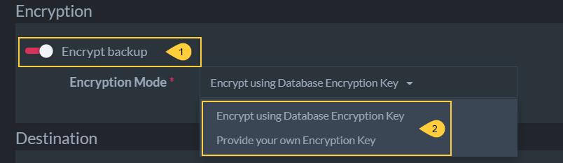 Backup Encryption Options