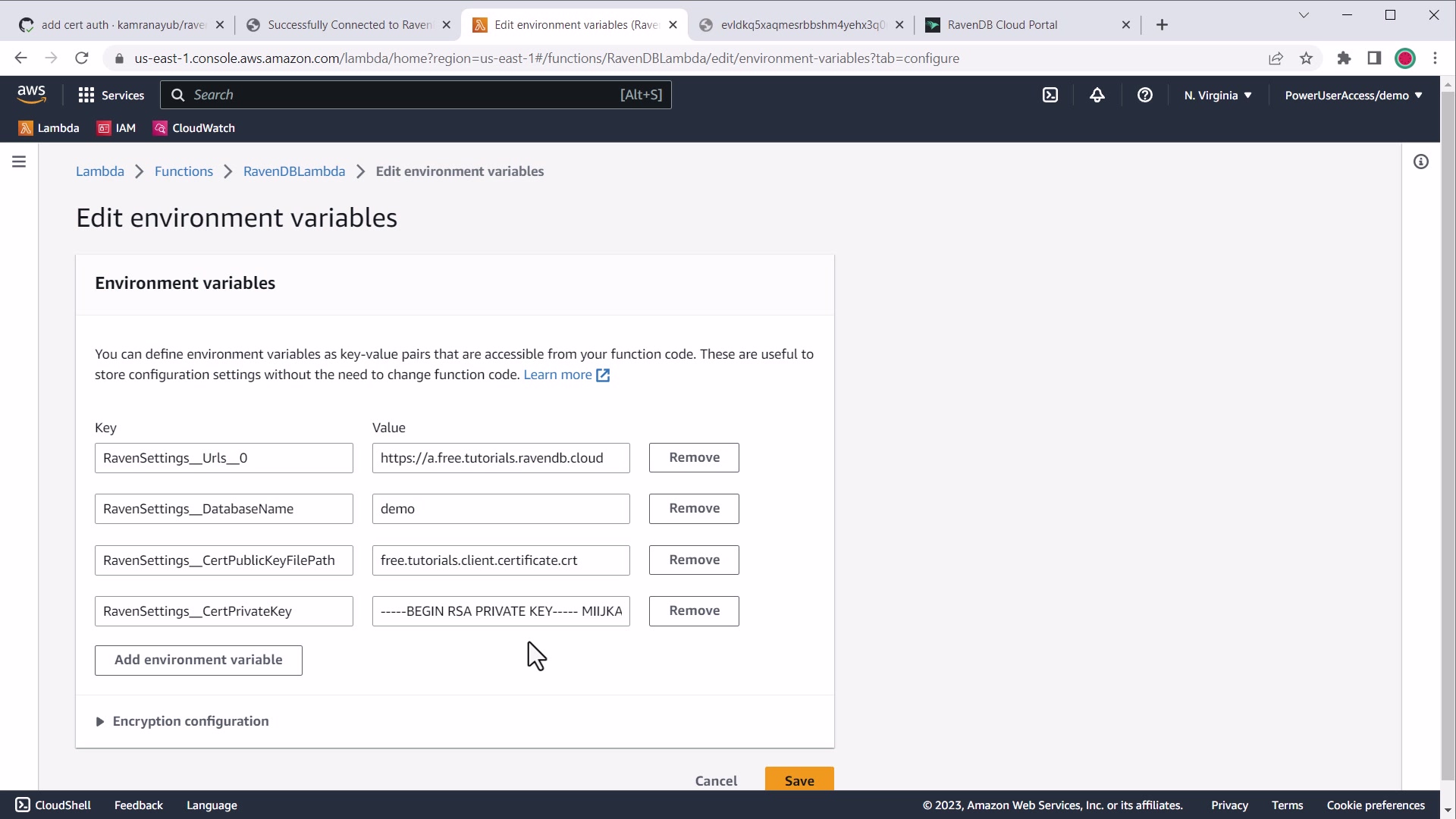 AWS environment variable settings for PEM certificate private key