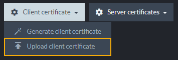 Register exported certificate as client certificate