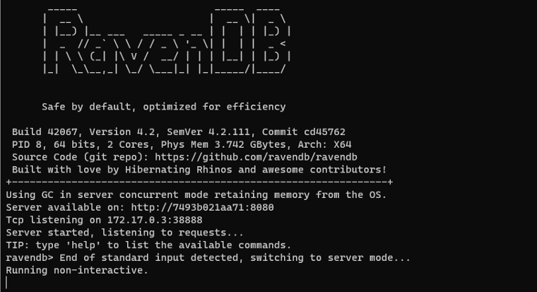 RavenDB Server Screenshot